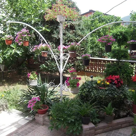 Lile Guest house