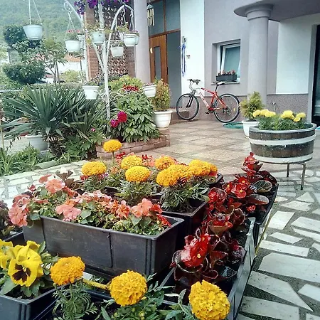 Lile Guest house Pestani