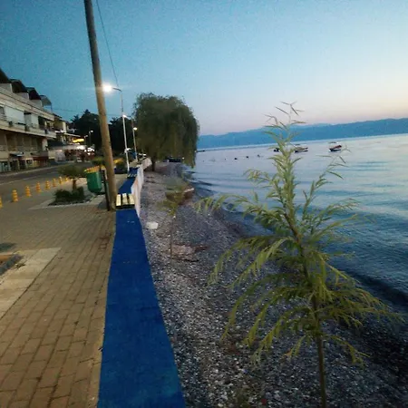 Lile Guest house Pestani